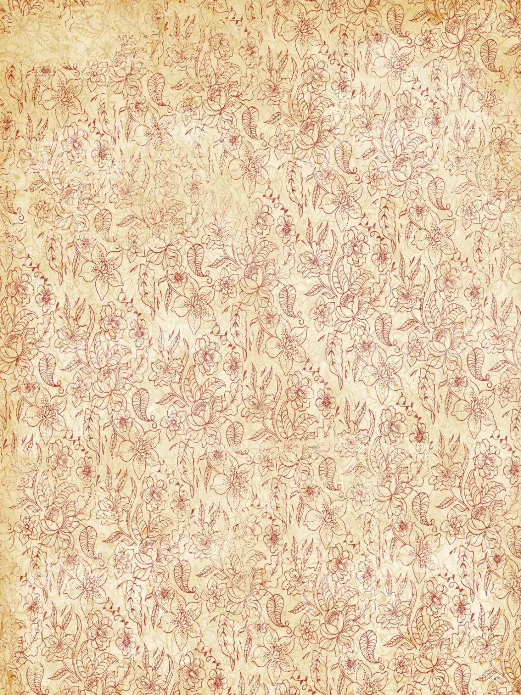 Sonia 5X7 Ultracloth ( 60 X 84 Inch ) Backdrop