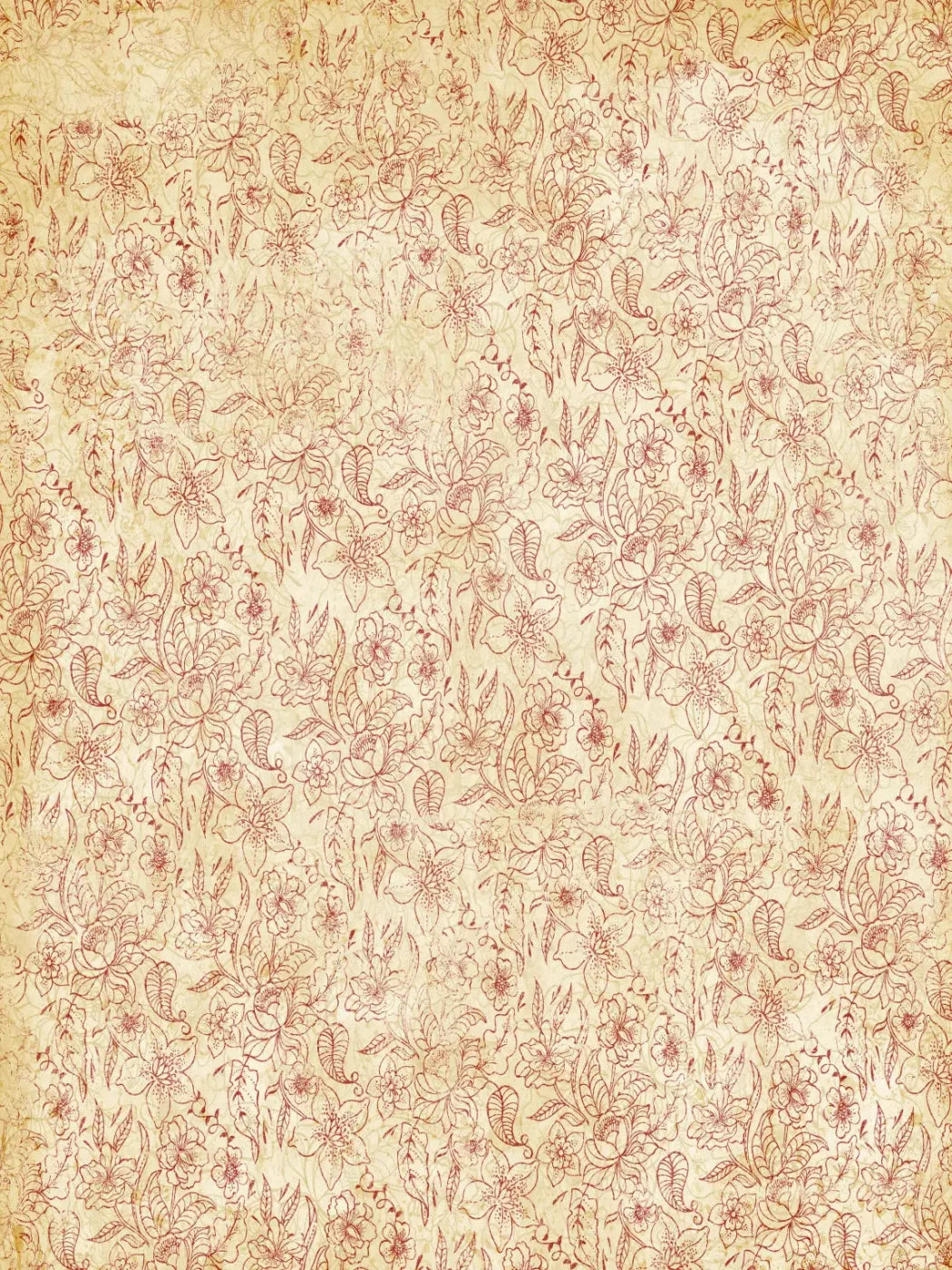 Sonia 8X10 Fleece ( 96 X 120 Inch ) Backdrop