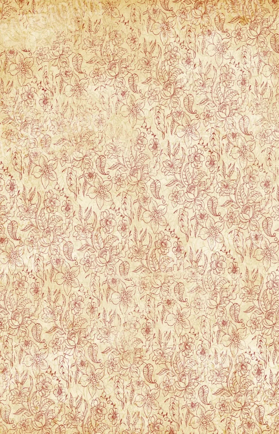 Sonia 8X12 Ultracloth ( 96 X 144 Inch ) Backdrop