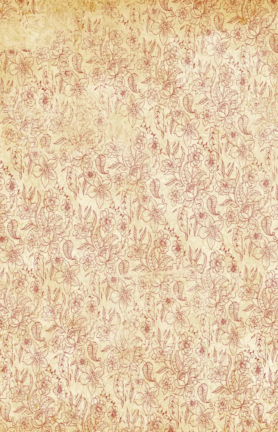 Sonia 8X12 Ultracloth ( 96 X 144 Inch ) Backdrop