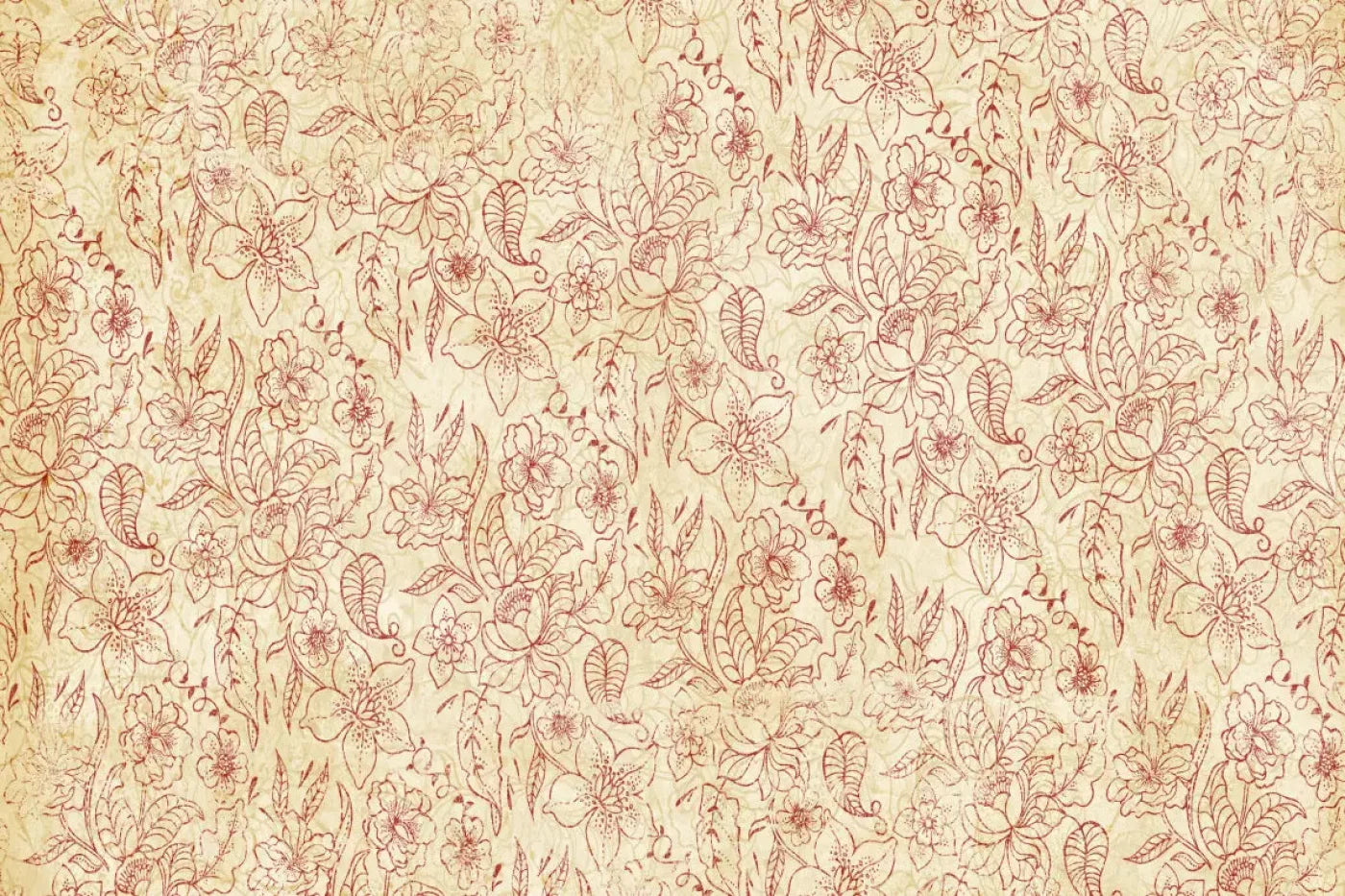 Sonia Backdrop