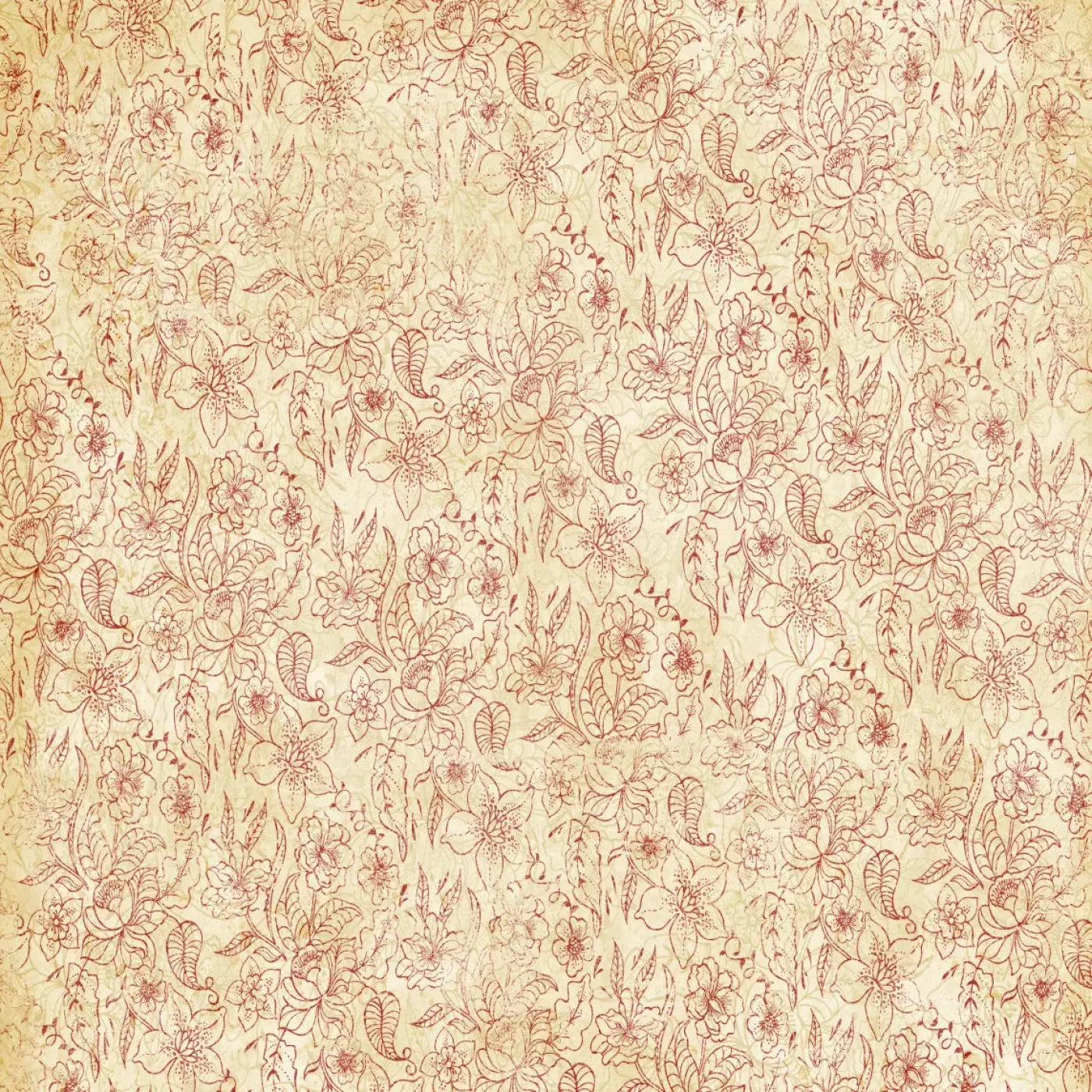 Sonia Backdrop