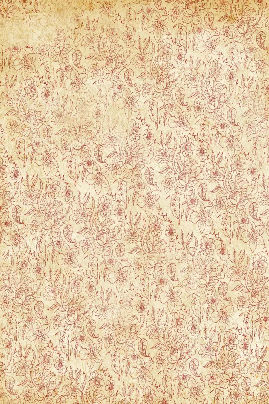 Sonia Backdrop