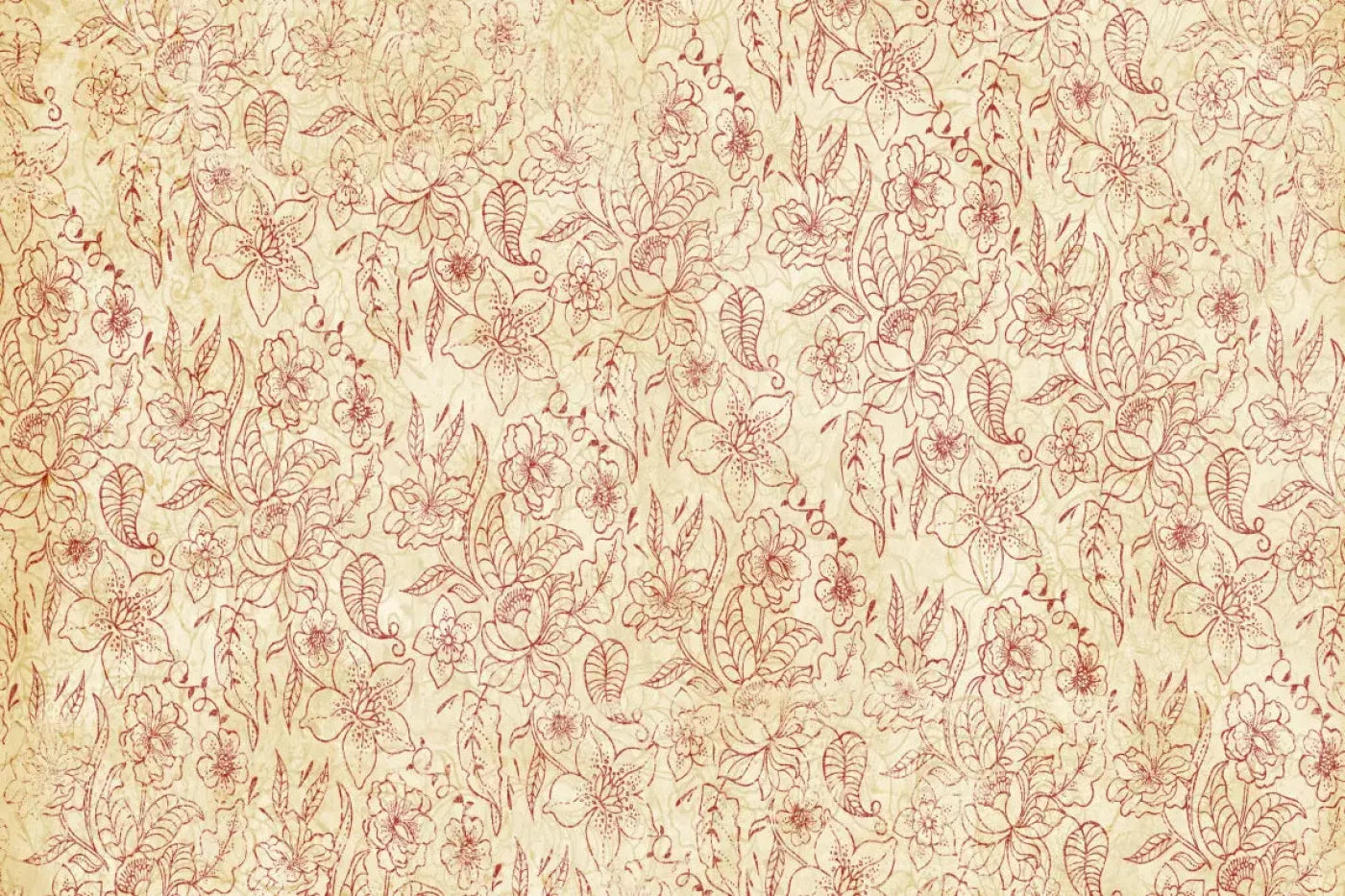 Sonia Backdrop