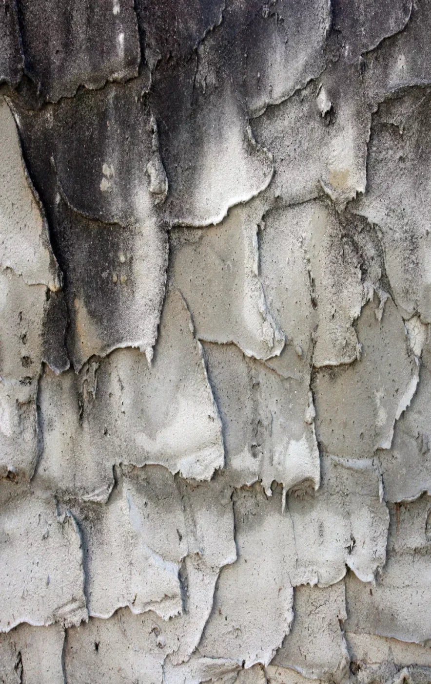 Spackle 10’X16’ Ultracloth (120 X 192 Inch) Backdrop