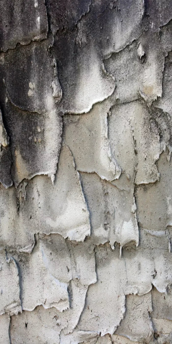 Spackle 10’X20’ Ultracloth (120 X 240 Inch) Backdrop