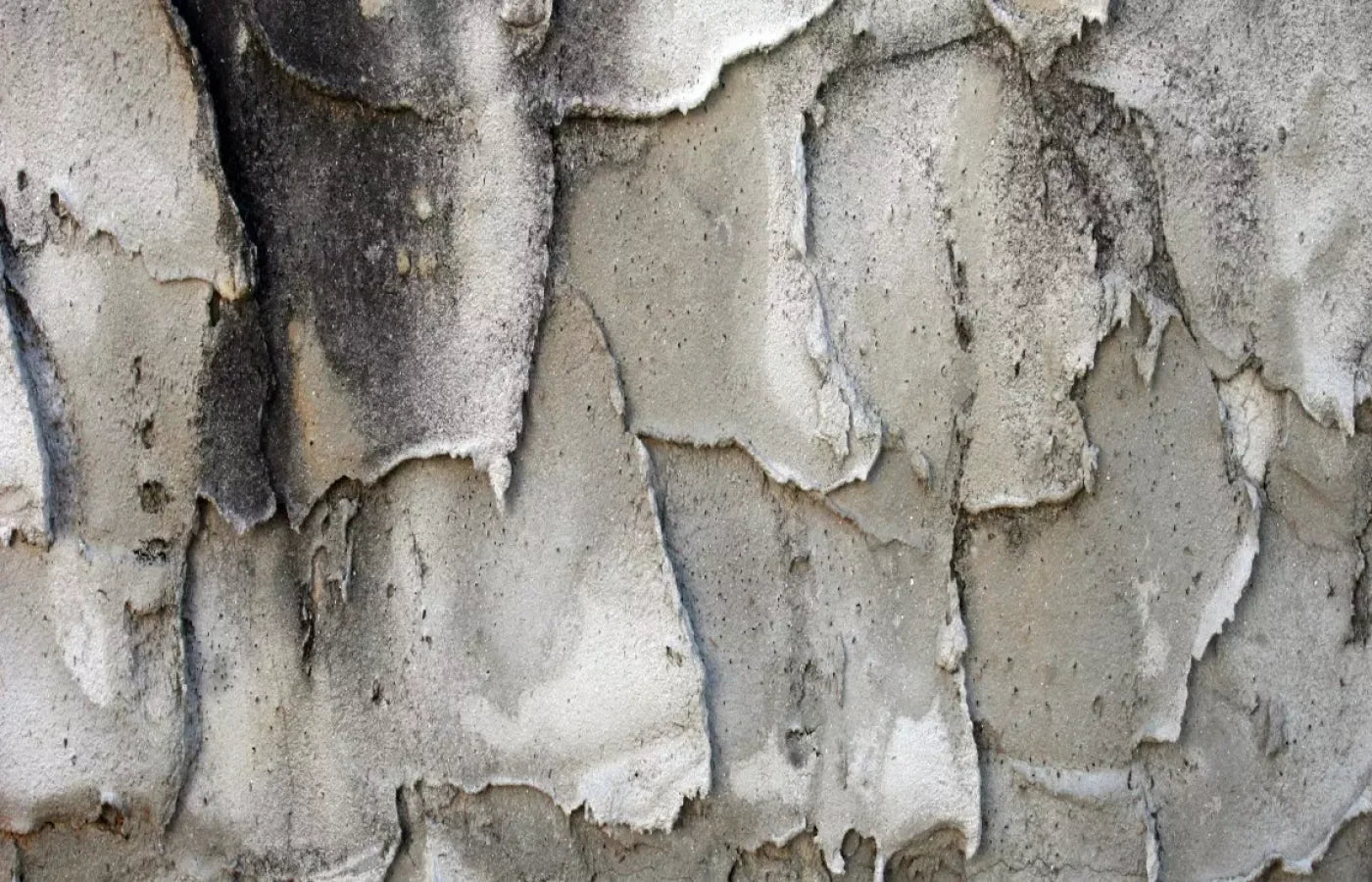 Spackle 12’X8’ Ultracloth (144 X 96 Inch) Backdrop