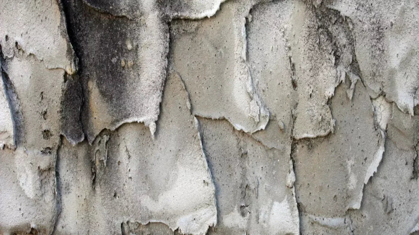 Spackle 14’X8’ Ultracloth (168 X 96 Inch) Backdrop