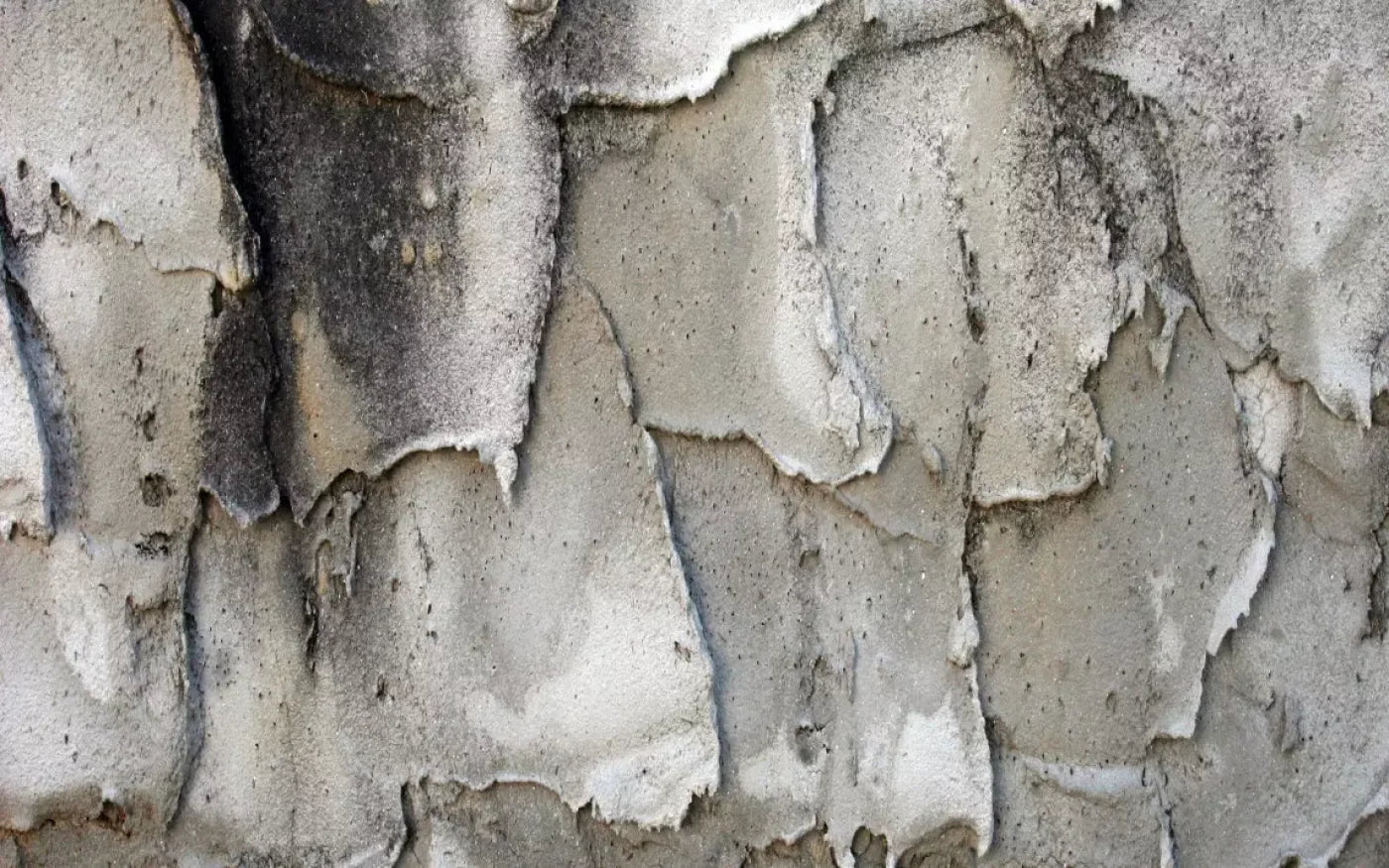 Spackle 14’X9’ Ultracloth (168 X 108 Inch) Backdrop