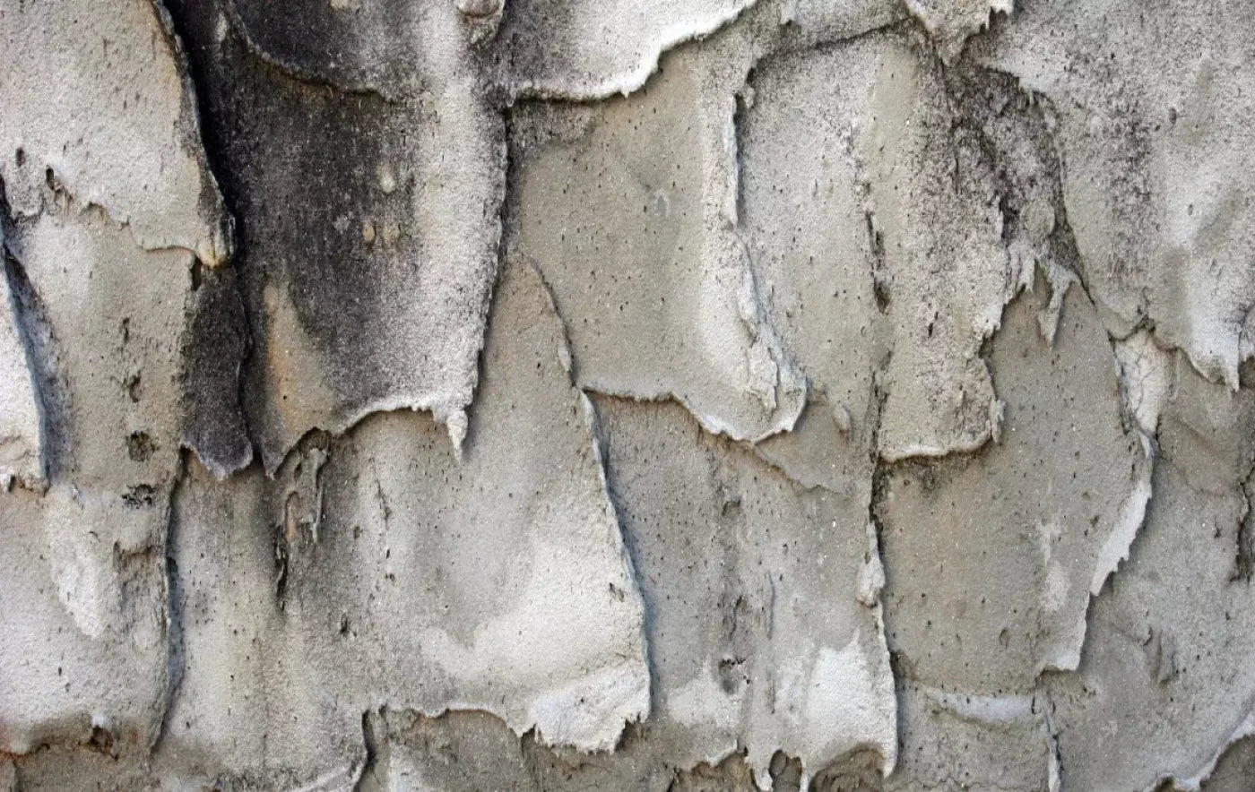 Spackle 16’X10’ Ultracloth (192 X 120 Inch) Backdrop