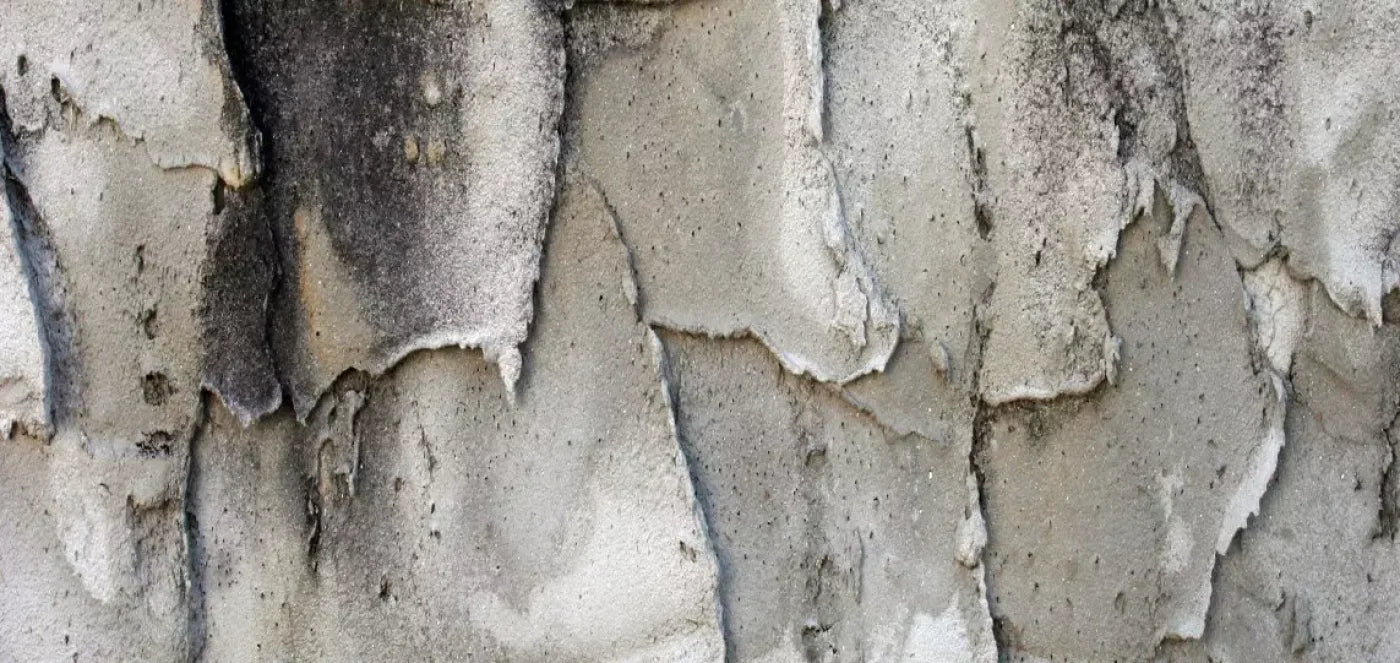 Spackle 16’X8’ Ultracloth (192 X 96 Inch) Backdrop