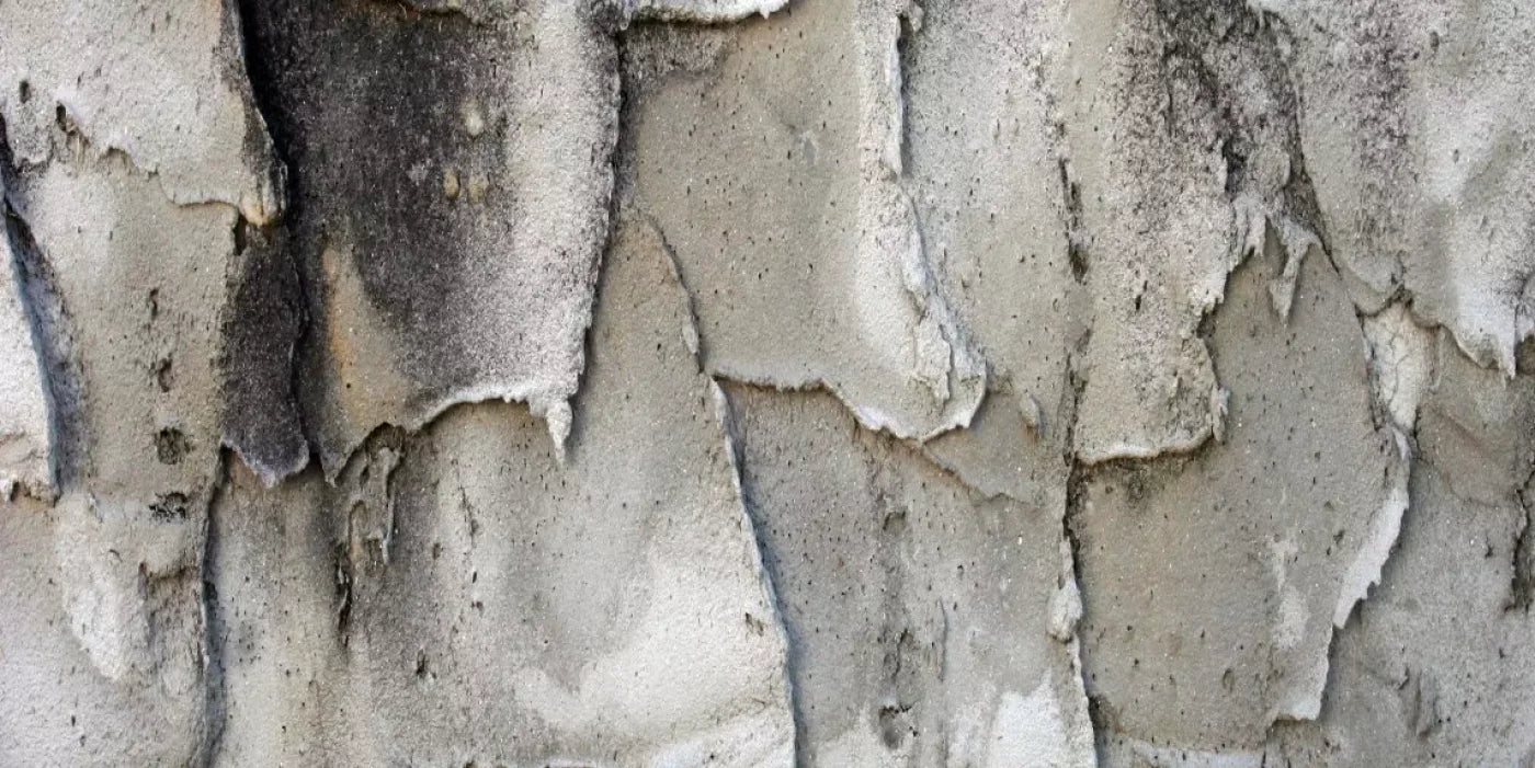 Spackle 20’X10’ Ultracloth (240 X 120 Inch) Backdrop