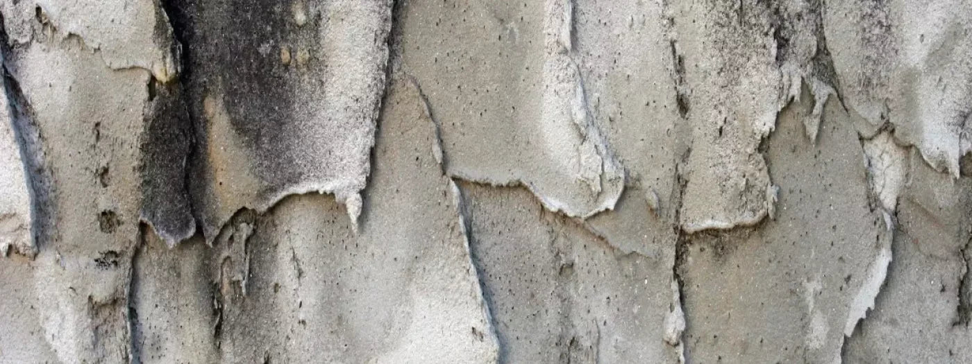 Spackle 20’X8’ Ultracloth (240 X 96 Inch) Backdrop