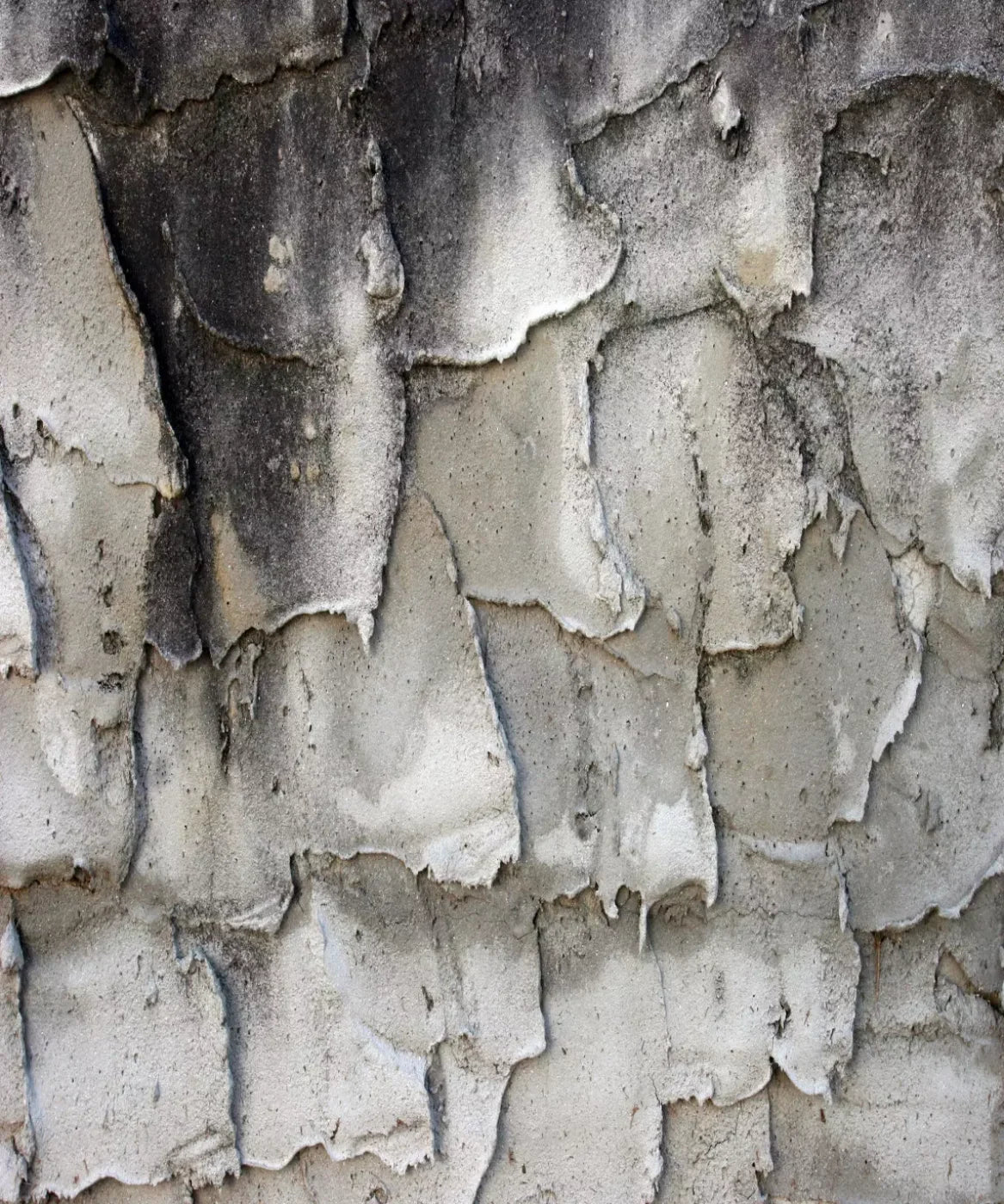 Gray Urban Grunge Backdrop for Photography