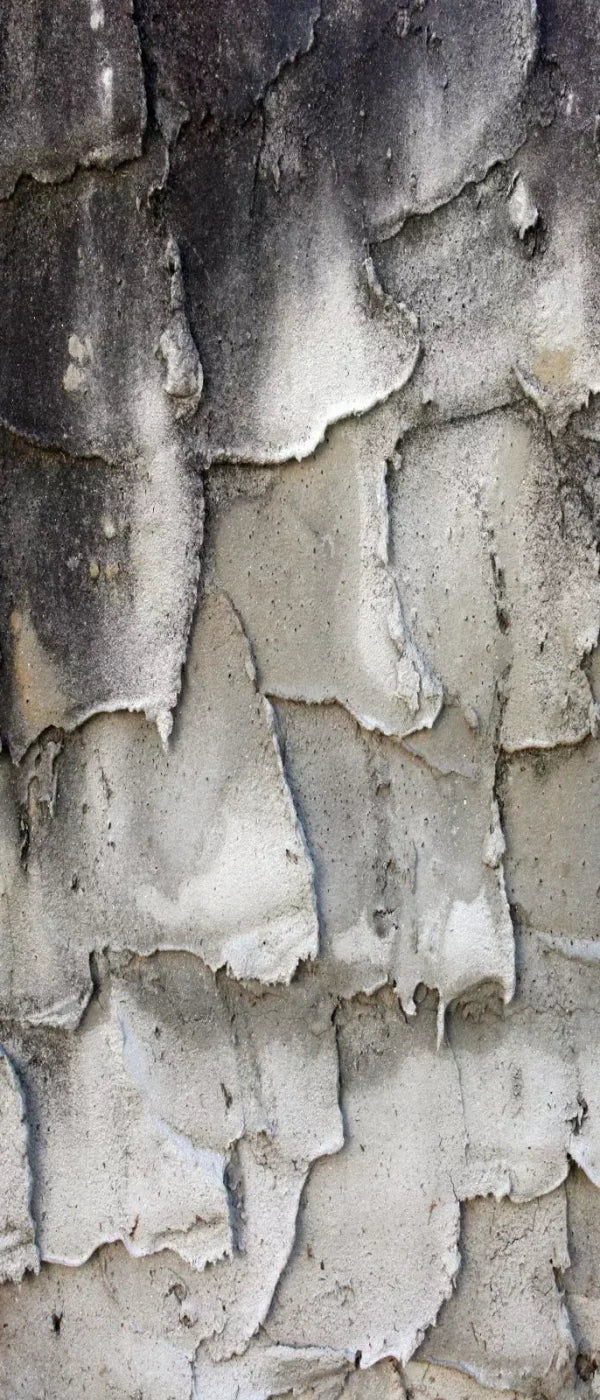 Spackle 5’X12’ Ultracloth For Westcott X-Drop (60 X 144 Inch) Backdrop