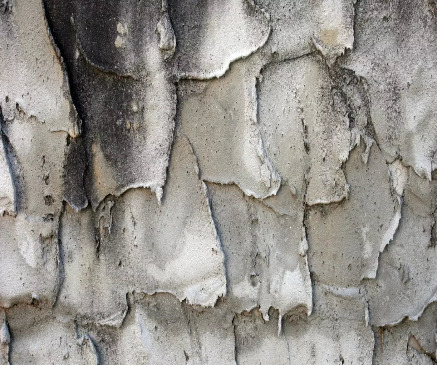 Spackle 5’X4’2’ Fleece (60 X 50 Inch) Backdrop