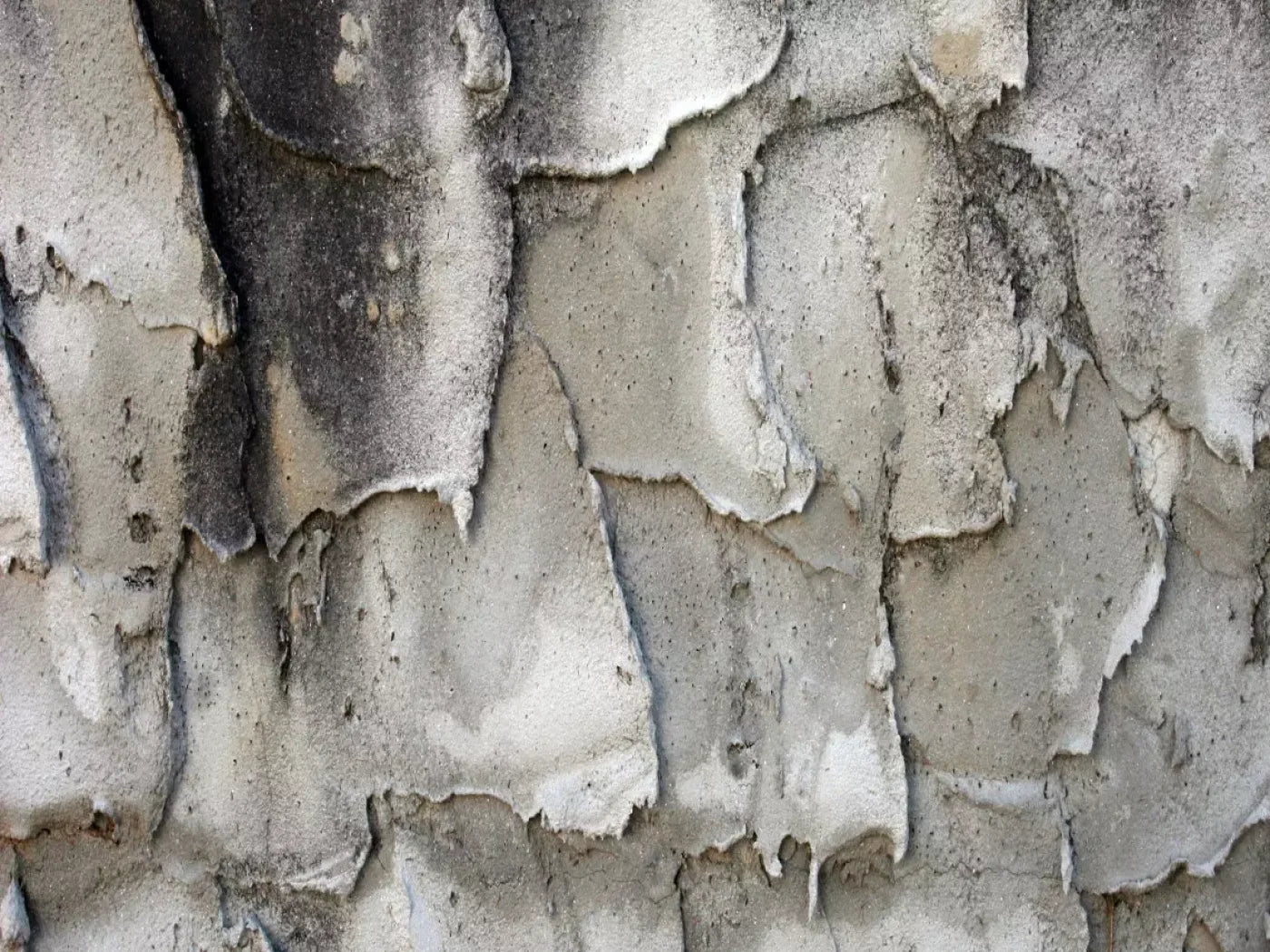 Spackle 6’8’X5’ Fleece (80 X 60 Inch) Backdrop