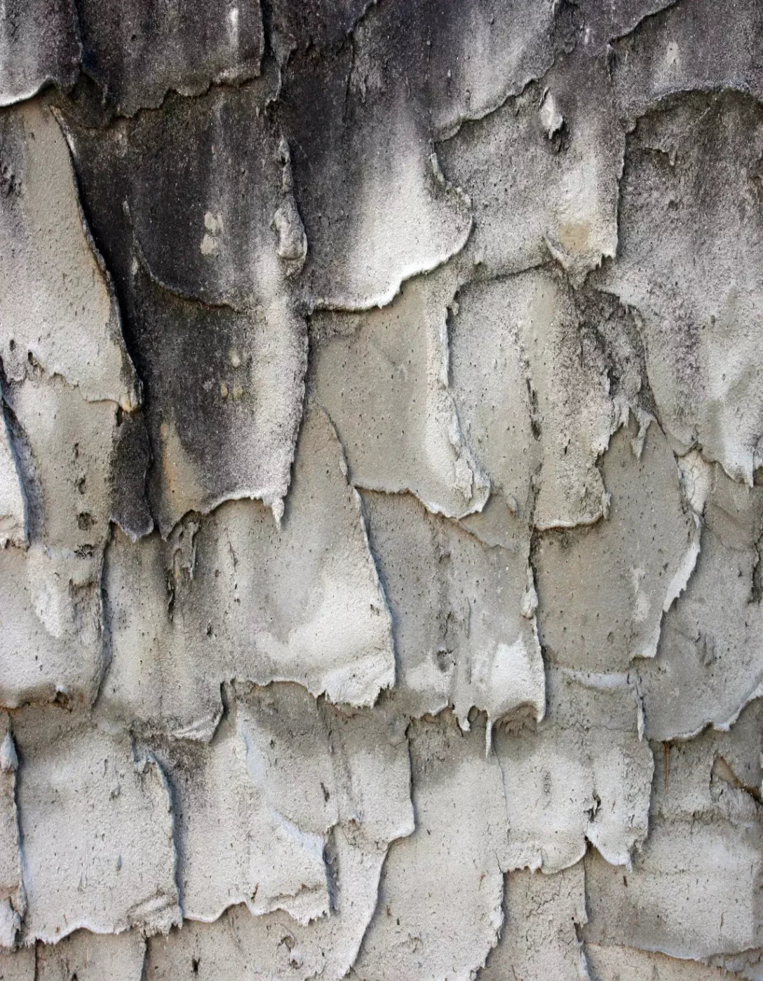 Spackle 6’X8’ Fleece (72 X 96 Inch) Backdrop