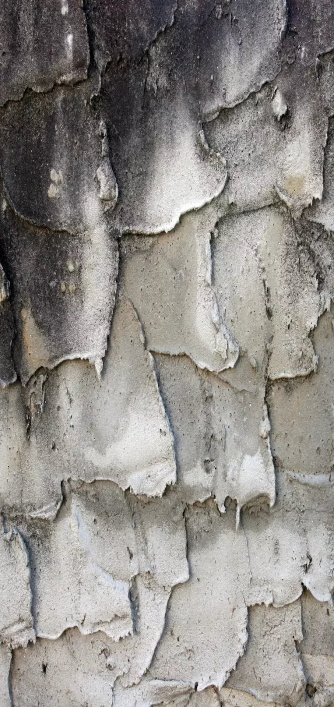 Spackle 8’X16’ Ultracloth (96 X 192 Inch) Backdrop