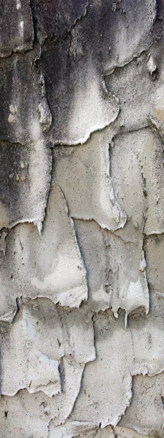 Spackle 8’X20’ Ultracloth (96 X 240 Inch) Backdrop