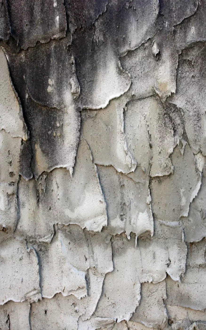 Spackle 9’X14’ Ultracloth (108 X 168 Inch) Backdrop