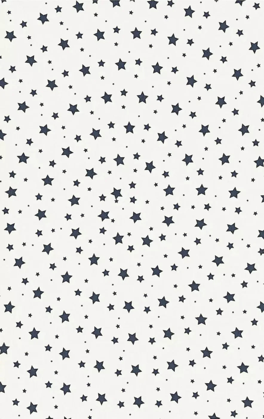 Spangled 10X16 Ultracloth ( 120 X 192 Inch ) Backdrop