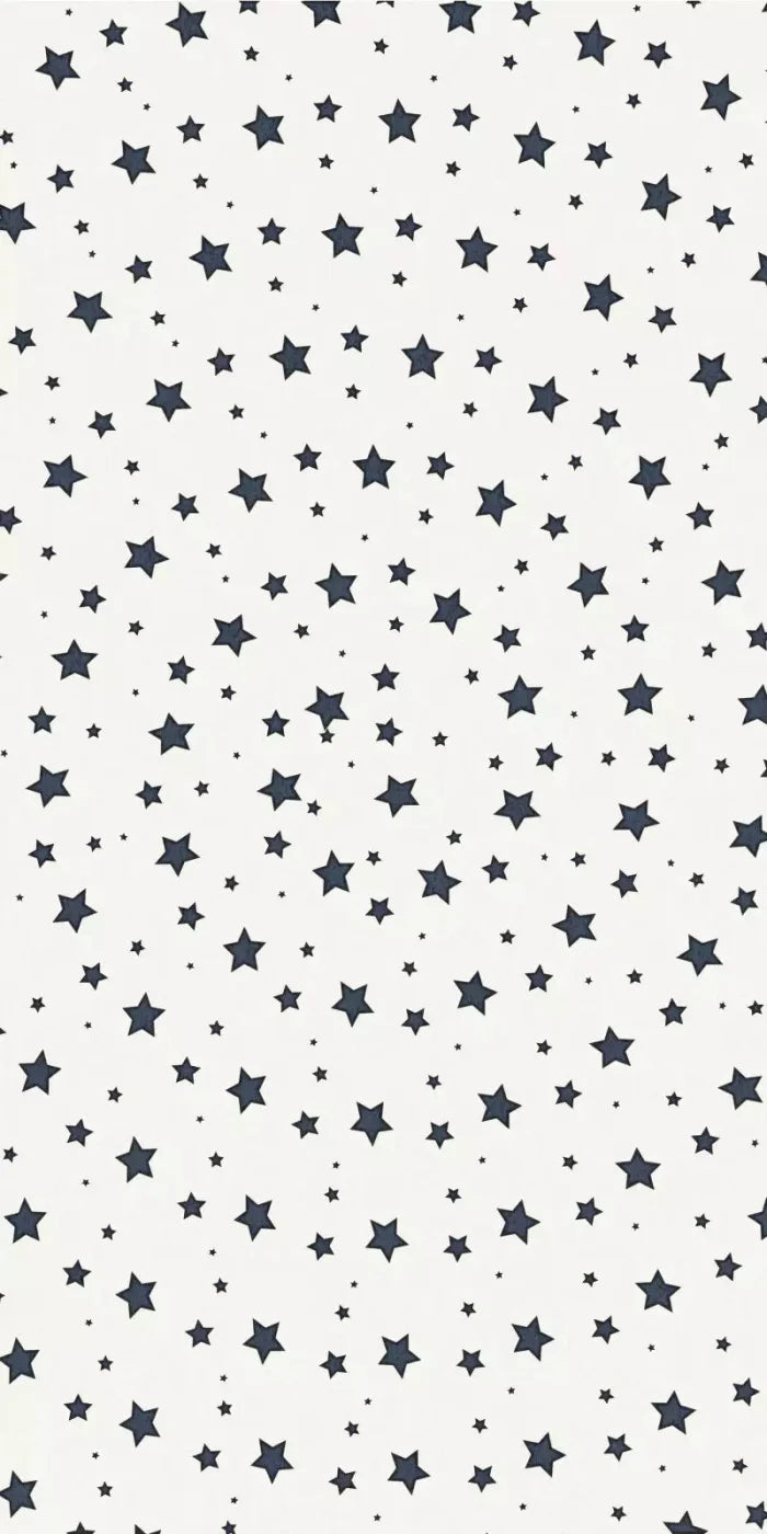 Spangled 10X20 Ultracloth ( 120 X 240 Inch ) Backdrop