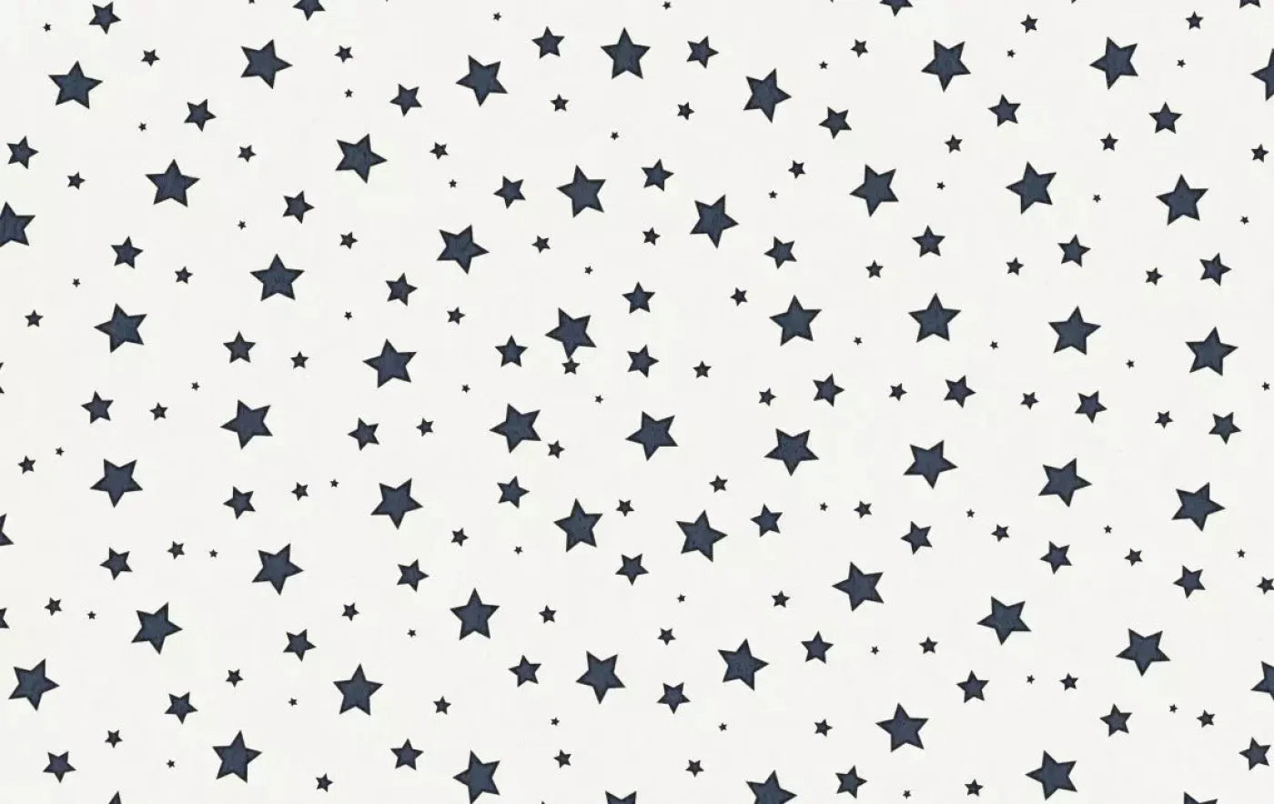 Spangled 16X10 Ultracloth ( 192 X 120 Inch ) Backdrop