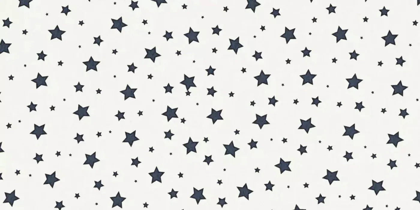 Spangled 20X10 Ultracloth ( 240 X 120 Inch ) Backdrop