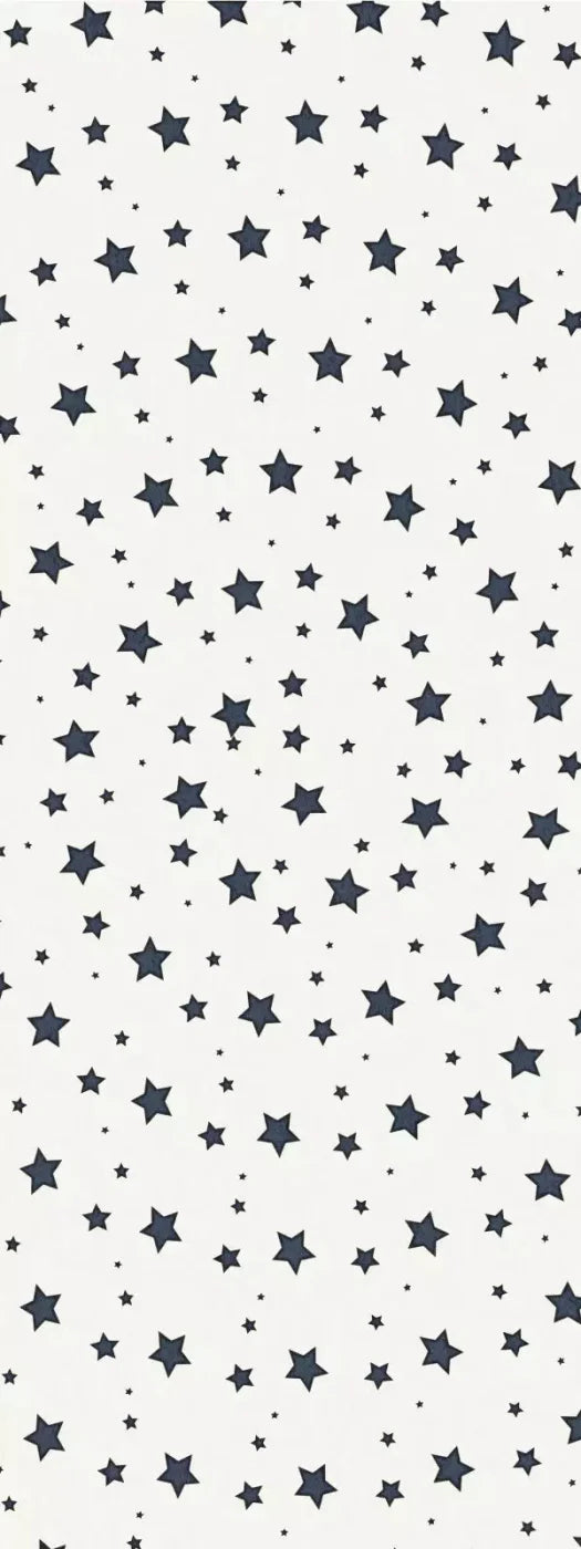 Spangled 8X20 Ultracloth ( 96 X 240 Inch ) Backdrop