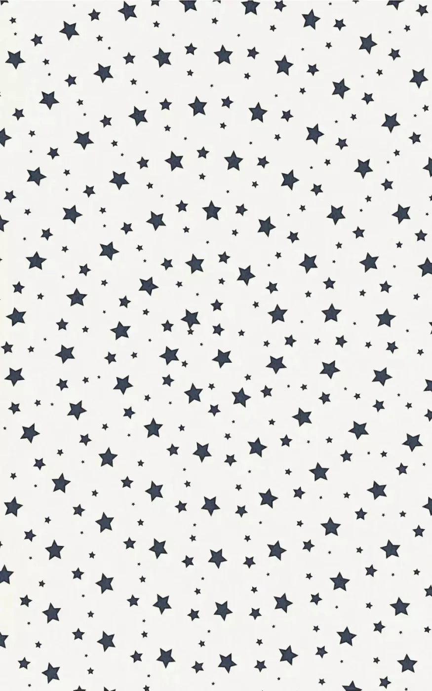 Spangled 9X14 Ultracloth ( 108 X 168 Inch ) Backdrop