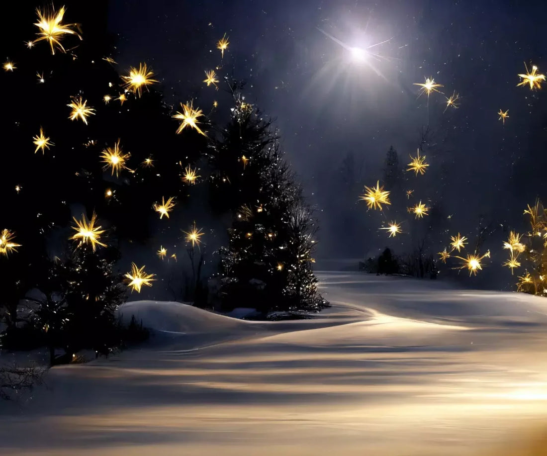 Sparkling Snowy Path 5’X4’2 Fleece (60 X 50 Inch) Backdrop