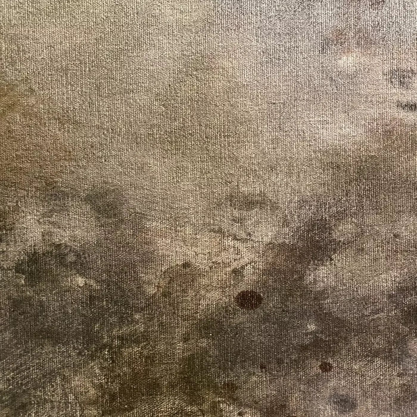 Splatter Texture 6 10’X10’ Ultracloth (120 X Inch) Backdrop