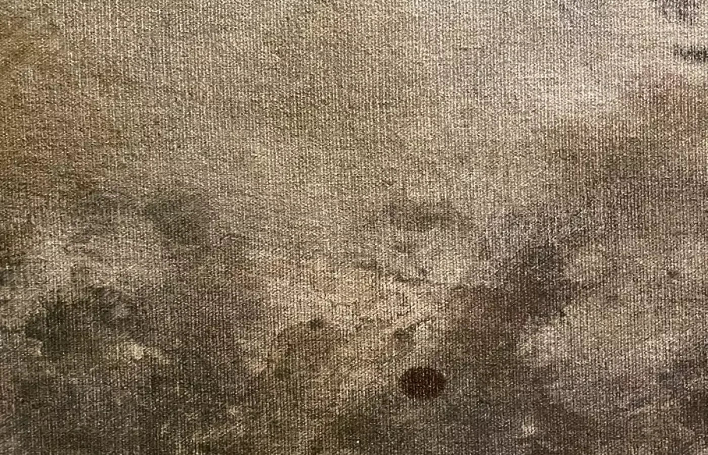 Splatter Texture 6 12’X8’ Ultracloth (144 X 96 Inch) Backdrop