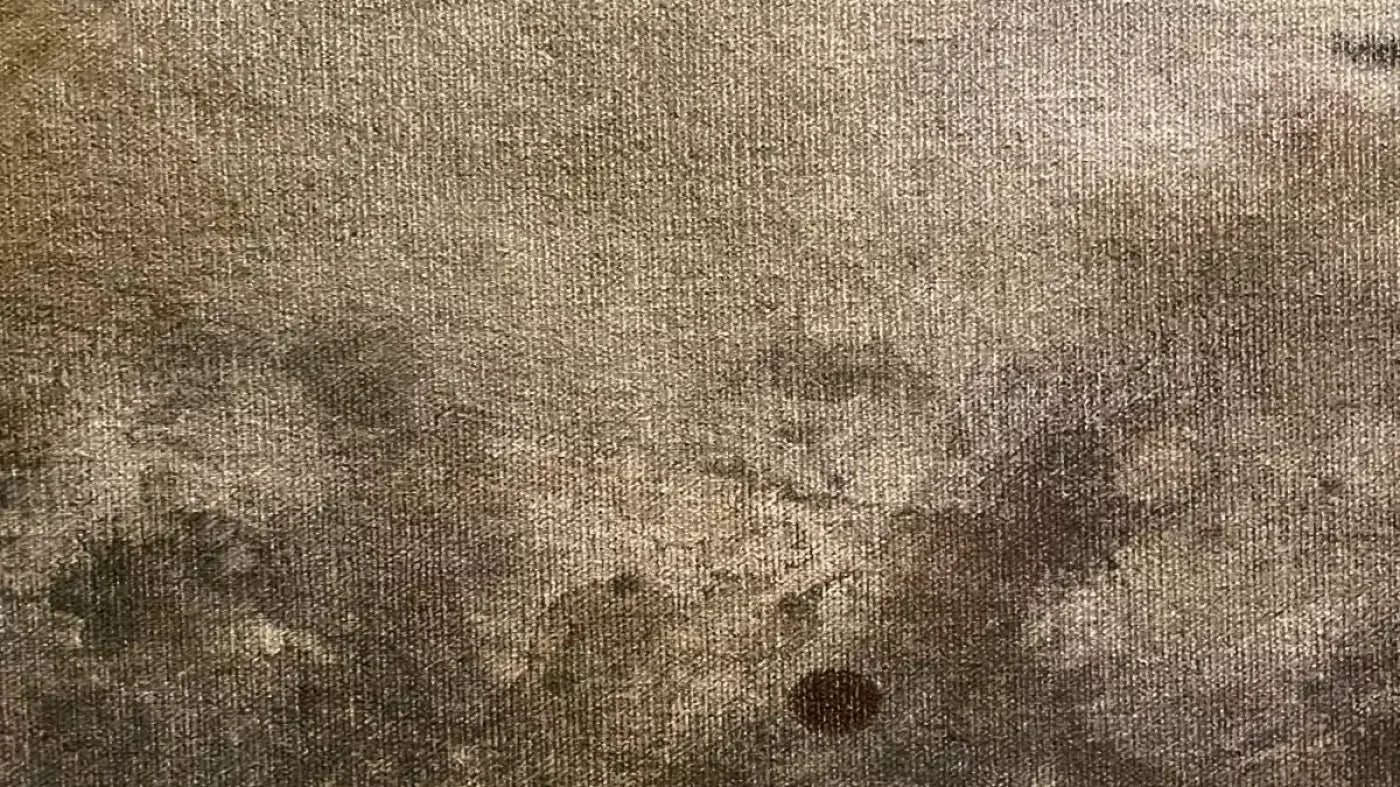 Splatter Texture 6 14’X8’ Ultracloth (168 X 96 Inch) Backdrop