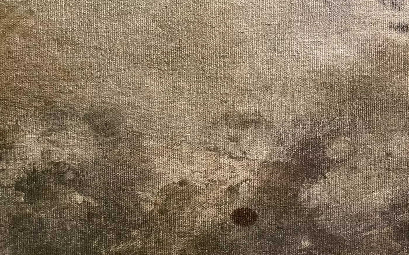 Splatter Texture 6 14’X9’ Ultracloth (168 X 108 Inch) Backdrop