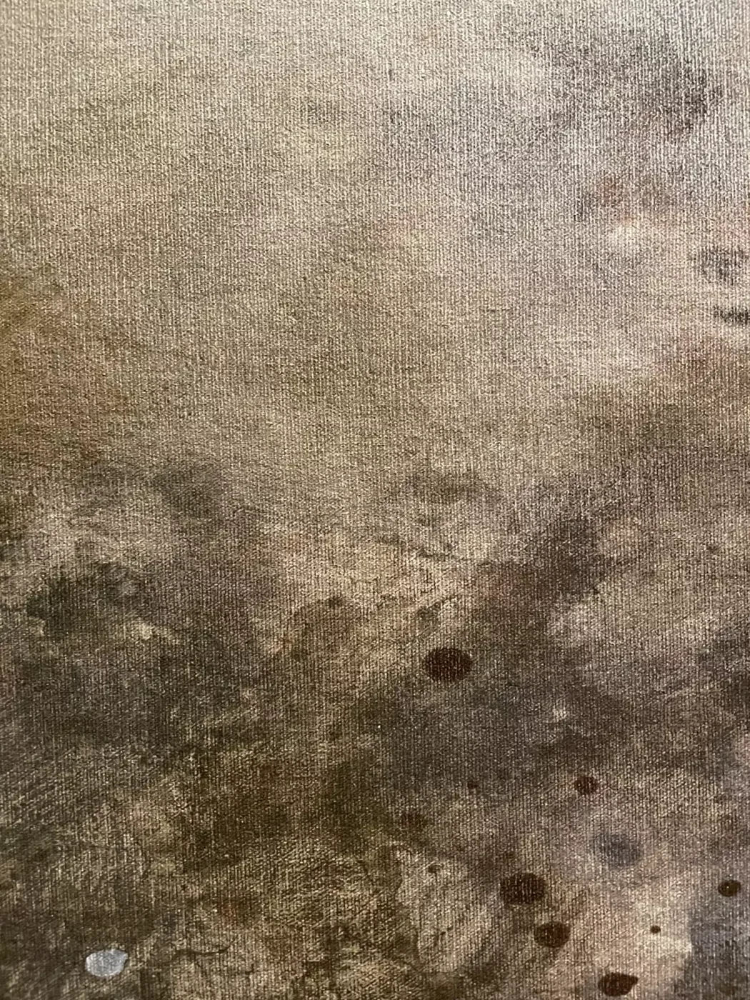 Splatter Texture 6 5’X7’ Ultracloth (60 X 84 Inch) Backdrop