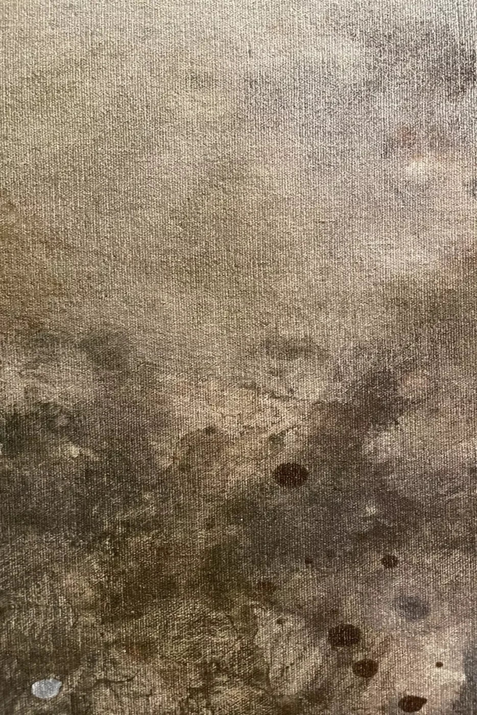 Splatter Texture 6 5’X8’ Ultracloth (60 X 96 Inch) Backdrop