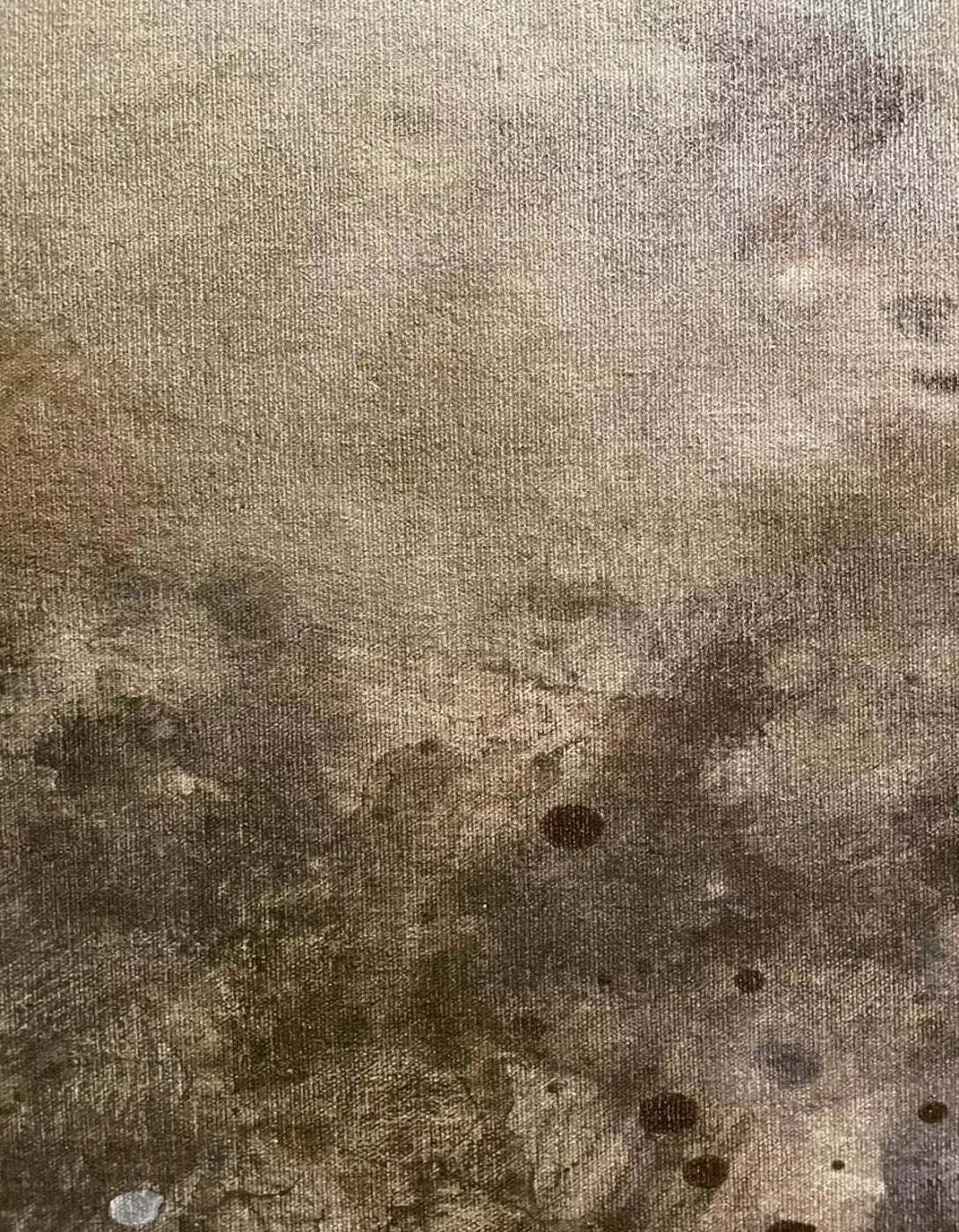 Splatter Texture 6 6’X8’ Fleece (72 X 96 Inch) Backdrop