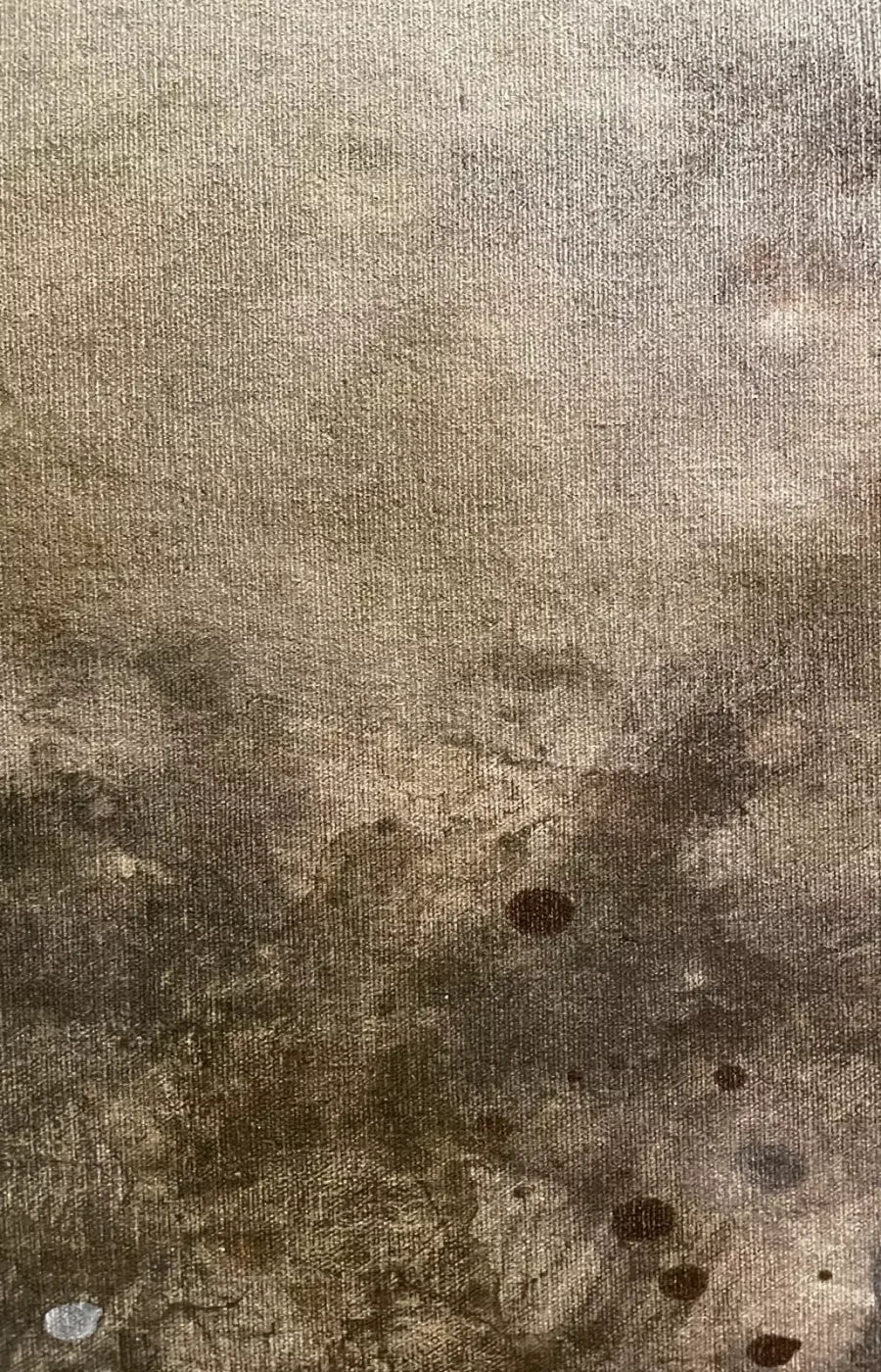 Splatter Texture 6 8’X12’ Ultracloth (96 X 144 Inch) Backdrop