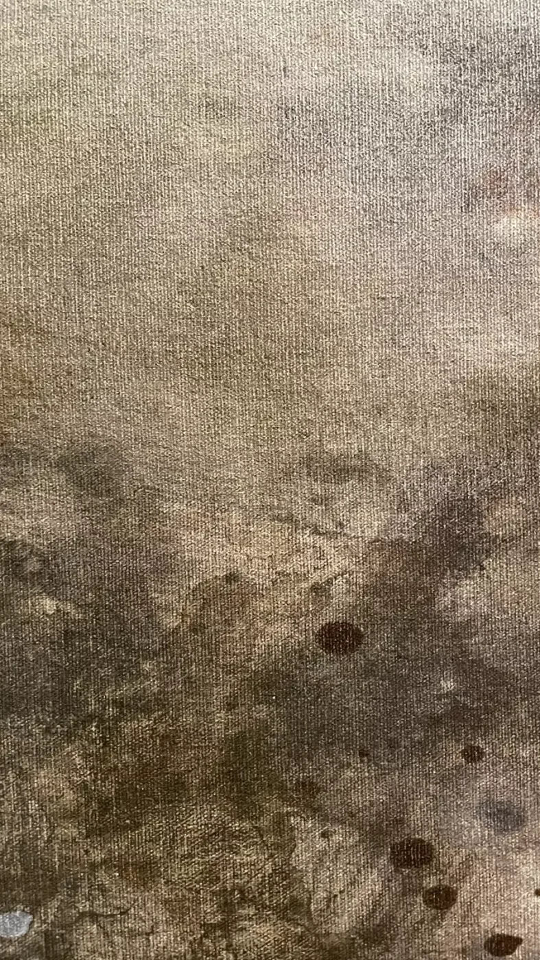 Splatter Texture 6 8’X14’ Ultracloth (96 X 168 Inch) Backdrop