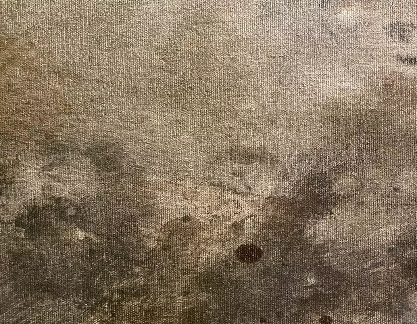 Splatter Texture 6 8’X6’ Fleece (96 X 72 Inch) Backdrop