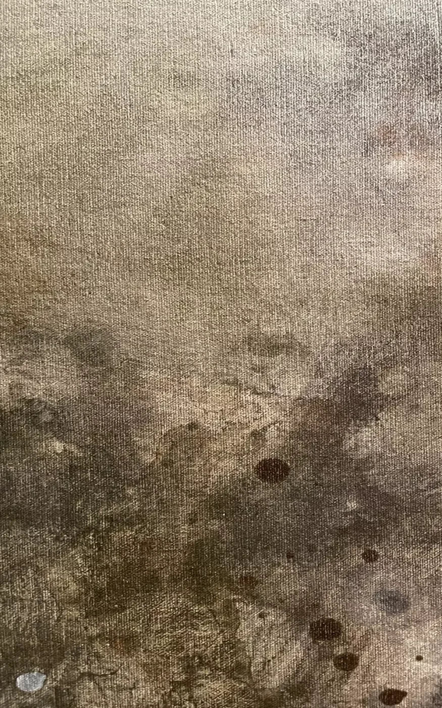 Splatter Texture 6 9’X14’ Ultracloth (108 X 168 Inch) Backdrop