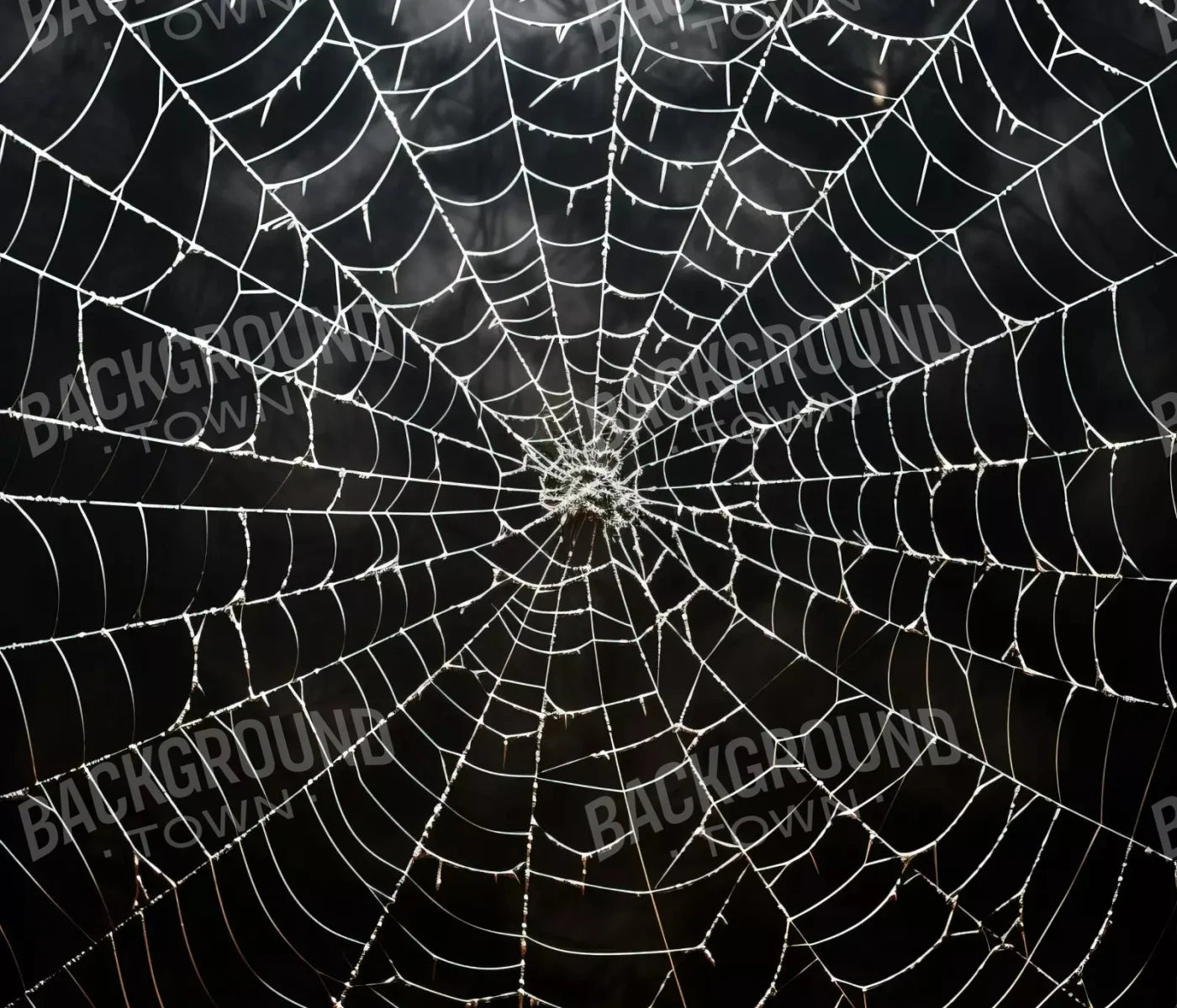 Spooky Spider Web 12X10 Ultracloth ( 144 X 120 Inch ) Backdrop