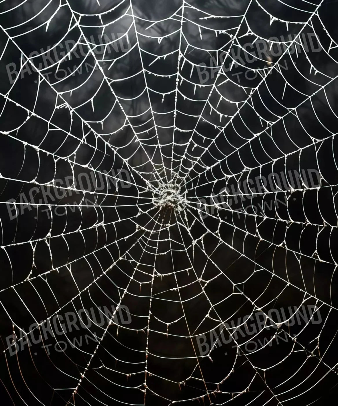Black Halloween Backdrop for Photography