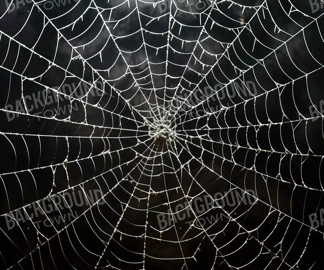 Spooky Spider Web 5X42 Fleece ( 60 X 50 Inch ) Backdrop