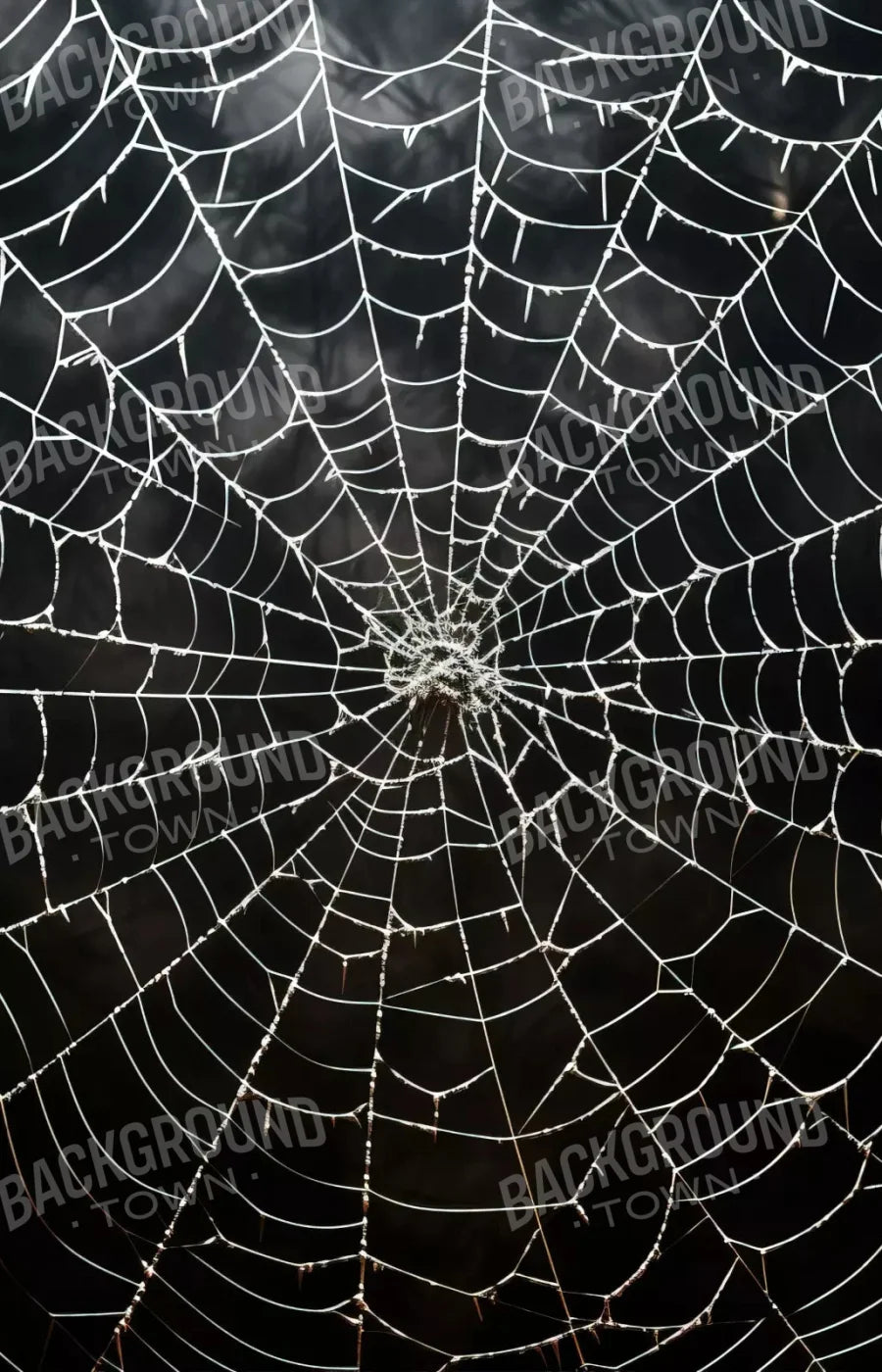 Spooky Spider Web 8X12 Ultracloth ( 96 X 144 Inch ) Backdrop
