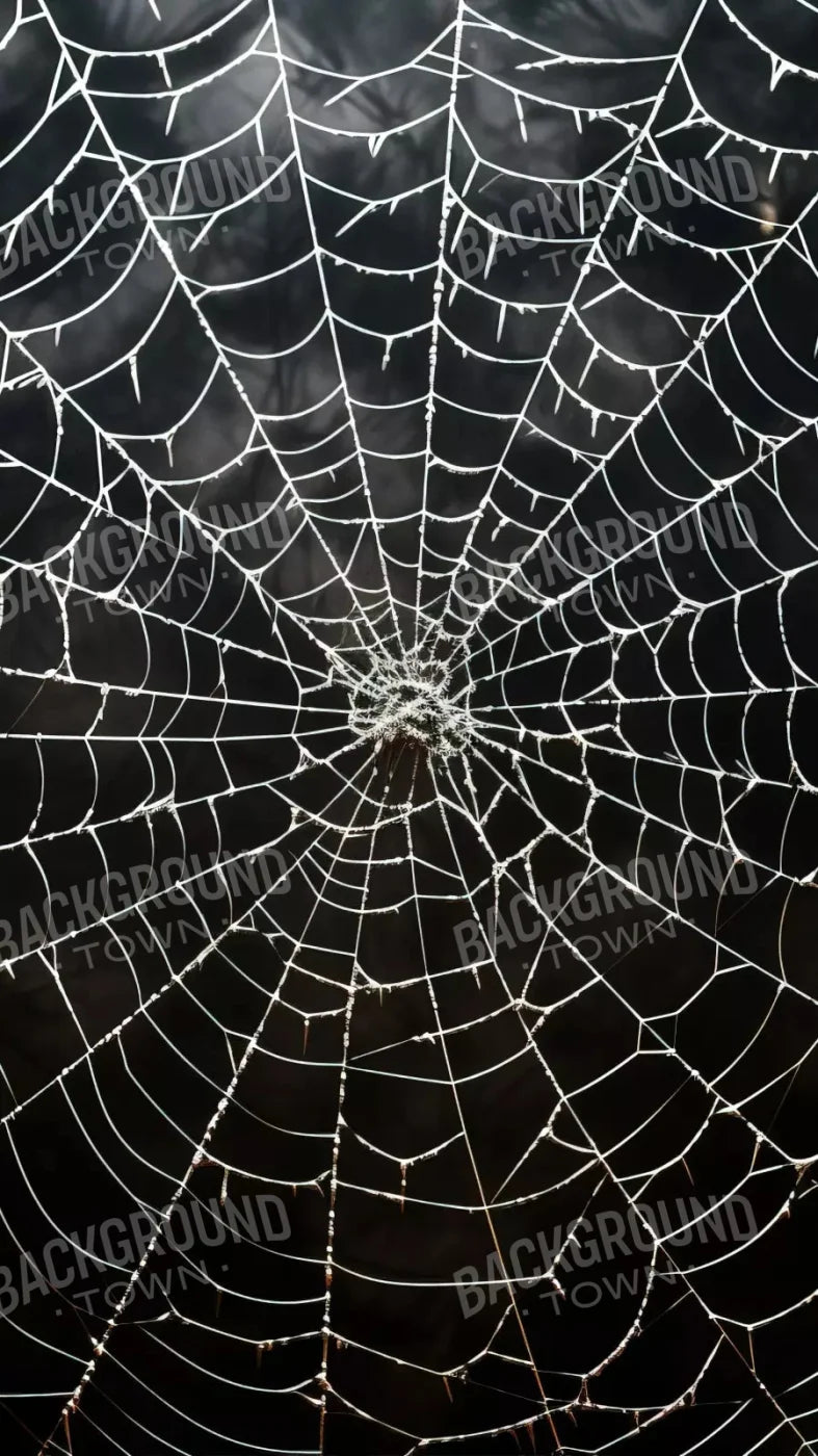Spooky Spider Web 8X14 Ultracloth ( 96 X 168 Inch ) Backdrop