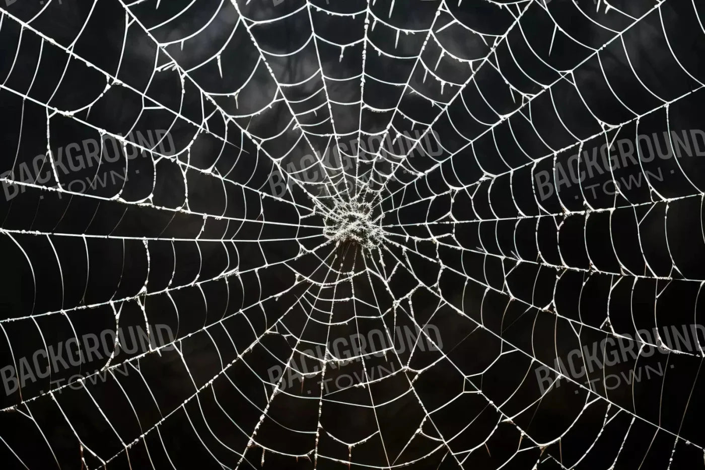 Spooky Spider Web 8X5 Ultracloth ( 96 X 60 Inch ) Backdrop