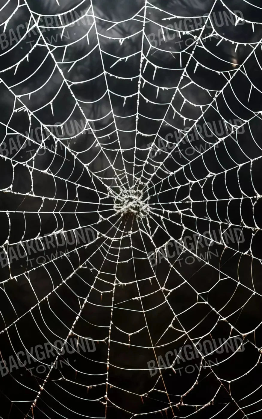 Spooky Spider Web 9X14 Ultracloth ( 108 X 168 Inch ) Backdrop
